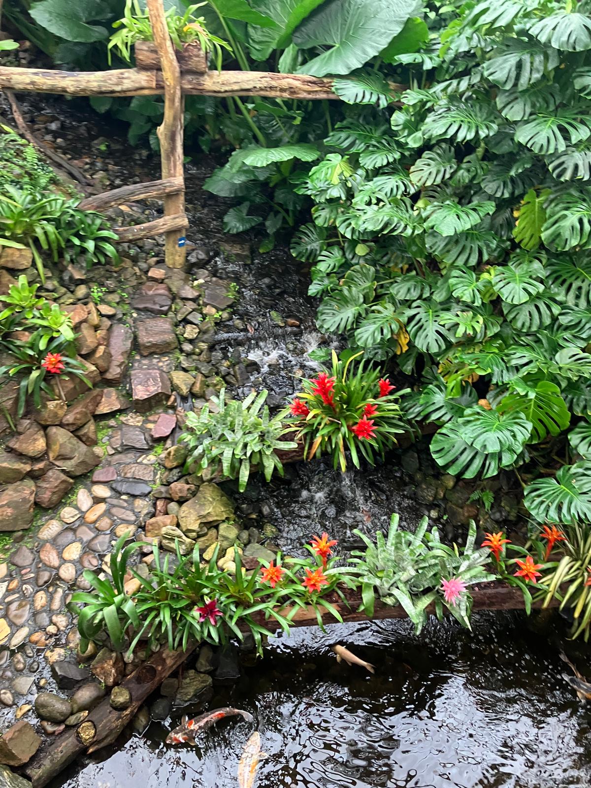 Foto 2 bij artikel "Uitje naar de Orchideenhoeve in Luttelgeest".